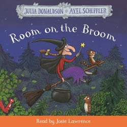 Room on the Broom - A rhyming story of friendship from the creators of The Gruffalo