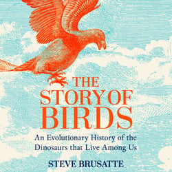 The Story of Birds - The Sunday Times Bestseller