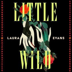 Little Wild - 'Absolutely Mesmerising' - Lucy Rose, bestselling author of The Lamb