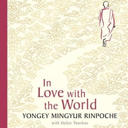 In Love with the World - What a Buddhist Monk Can Teach You About Living from Nearly Dying