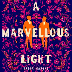 A Marvellous Light - A dazzling, queer romantic fantasy