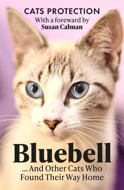 Bluebell ... And Other Cats Who Found Their Way Home - Inspirational Tales of Rescue and Redemption