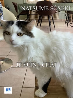 Je suis un chat