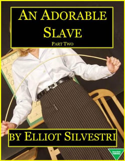 An Adorable Slave (Part Two)