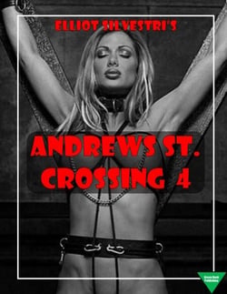 Andrews St. Crossing 4 - Andrew's St. Crossing, #4