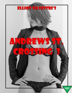 Andrews St. Crossing 3 - Andrew's St. Crossing, #3
