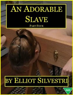 An Adorable Slave (Part Four)