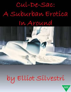 Cul-De-Sac: A Suburban Erotica In Around
