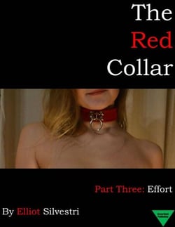 The Red Collar Part Three: Effort