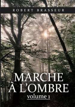 Marche à l'ombre - Tome 1