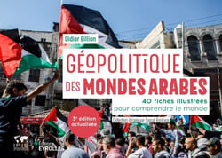 Géopolitique des mondes arabes/nouvelle édition mise à jour - 40 fiches illustrées pour comprendre le monde