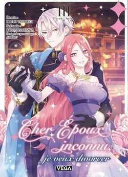 Cher époux inconnu, je veux divorcer - Tome 3