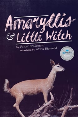 Amaryllis &amp; Little Witch