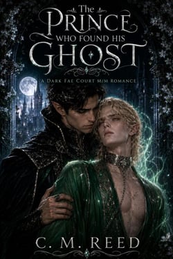 The Prince Who Found His Ghost : A Dark Fae Court M/M Romance