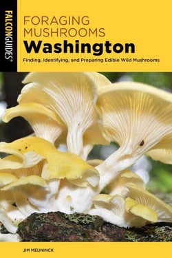 Foraging Mushrooms Washington - Finding, Identifying, and Preparing Edible Wild Mushrooms