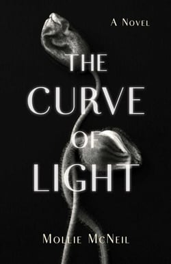 The Curve of Light - A Novel