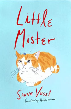 Little Mister - A Novel