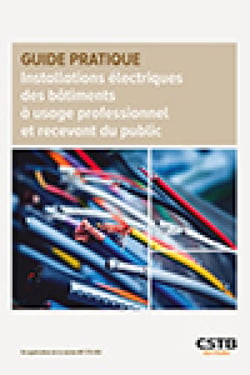 Installations électriques des bâtiments à usage professionnel et recevant du public - En application de la norme NF C15-100
