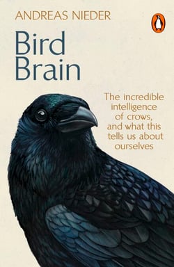 Bird Brain - The Incredible Intelligence of Crows, and What This Tells Us About Ourselves