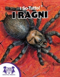I So-Tutto!® I Ragni