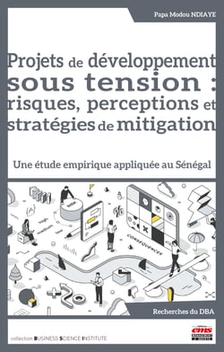 Projets de développement sous tension : risques, perceptions et stratégies de mitigation - Une étude empirique appliquée au Sénégal