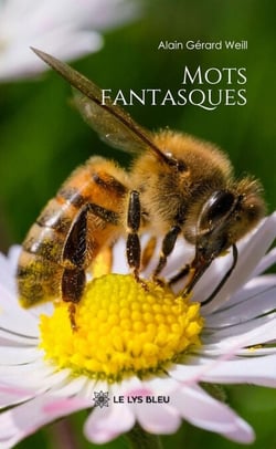 Mots fantasques