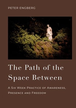 The Path of the Space Between - A Six Week Practice of Awareness, Presence and Freedom