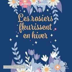 Les rosiers fleurissent en hiver