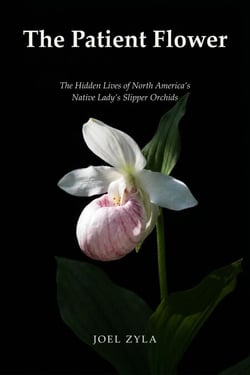 The Patient Flower: The Hidden Lives of North America's Native Lady's Slipper Orchids