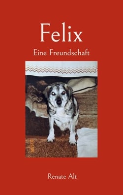 Felix - Eine Freundschaft