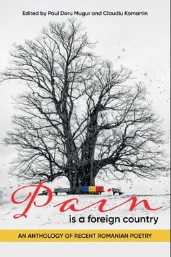 Pain is a Foreign Country - An Anthology of Recent Romanian Poetry