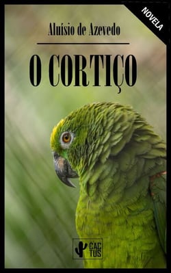 O Cortiço