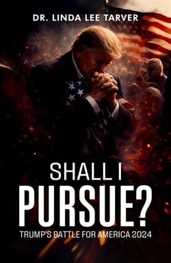 Shall I Pursue?: Trump's Battle for America 2024