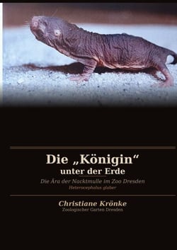 Die "Königin" unter der Erde - Die Ära der Nacktmulle im Zoo Dresden