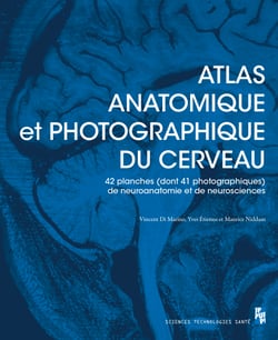 Atlas anatomique et photographique du cerveau - 42 planches (dont 41 photographiques) de neuroanatomie et de neurosciences