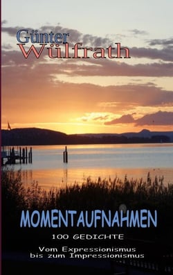 Momentaufnahmen - 100 Gedichte