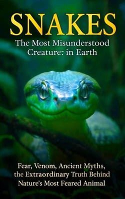SNAKES- The Most Misunderstood Creature on Earth : Fear, Venom, Ancient Myths, and the Extraordinary Truth Behind Nature's Most Feared Animal
