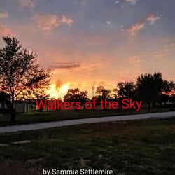 Walkers of The Sky