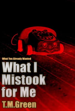 What I Mistook For Me - What You Already Wanted