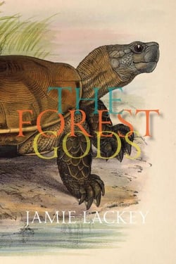 The Forest Gods - The Forest God, #2