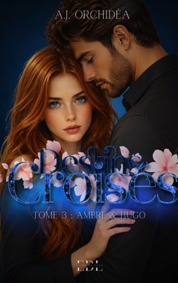 Destins Croisés - Tome 3 : Ambre &amp; Hugo