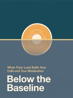 Below the Baseline — When Toxic Load Stalls Your Cells and Your Metabolism