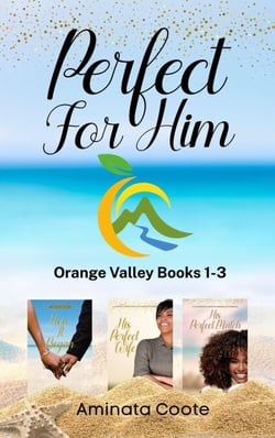 Perfect for Him Books 1-3 - Christian Romance Collections, #1