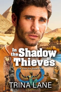 In the Shadow of Theives - Got Your Six, #4