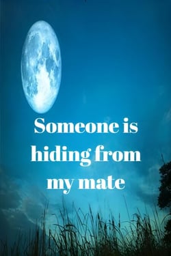 Someone is hiding from my mate
