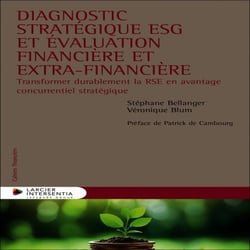 Diagnostic stratégique ESG et évaluation financière et extra-financière - Transformer durablement la RSE en avantage concurrentiel stratégique