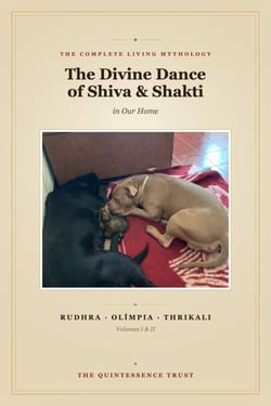 The Divine Dance of Shiva &amp; Shakti