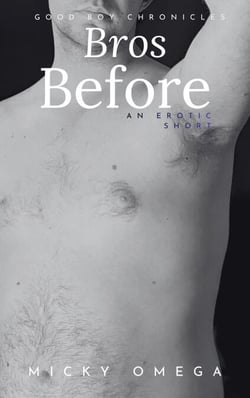 Bros Before - Good Boy Chronicles, #1