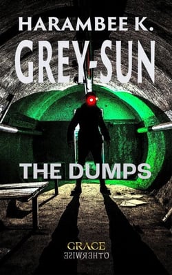 The Dumps - Grace Otherwise