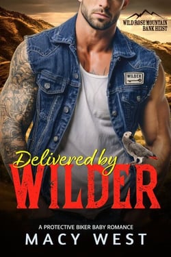 Delivered by Wilder - Wild Rose Mountain Bank Heist, #1